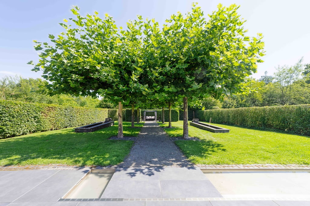 Ein Garten einer Luxusimmobilie in Trier mit symmetrisch angelegten Bäumen und Grünflächen.